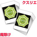 クスリエ 魔除け A6サイズ 片面カラー 10枚入り奇跡のコイルBLACK EYEブラックアイの医学博士丸山修寛監修お守り 健康 金運向上 開運(4)