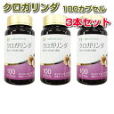 クロガリンダ 100カプセル 3本セットサプリメント 黒ガリンガル 健康食品 免疫力 本物研究所