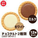 訳あり 老舗洋菓子屋 チョコタルト 2種 12個セット ミルク ホワイト 1000円ポッキリ 送料無料 ポスト投函便 ガトー チョコ タルトの商品画像