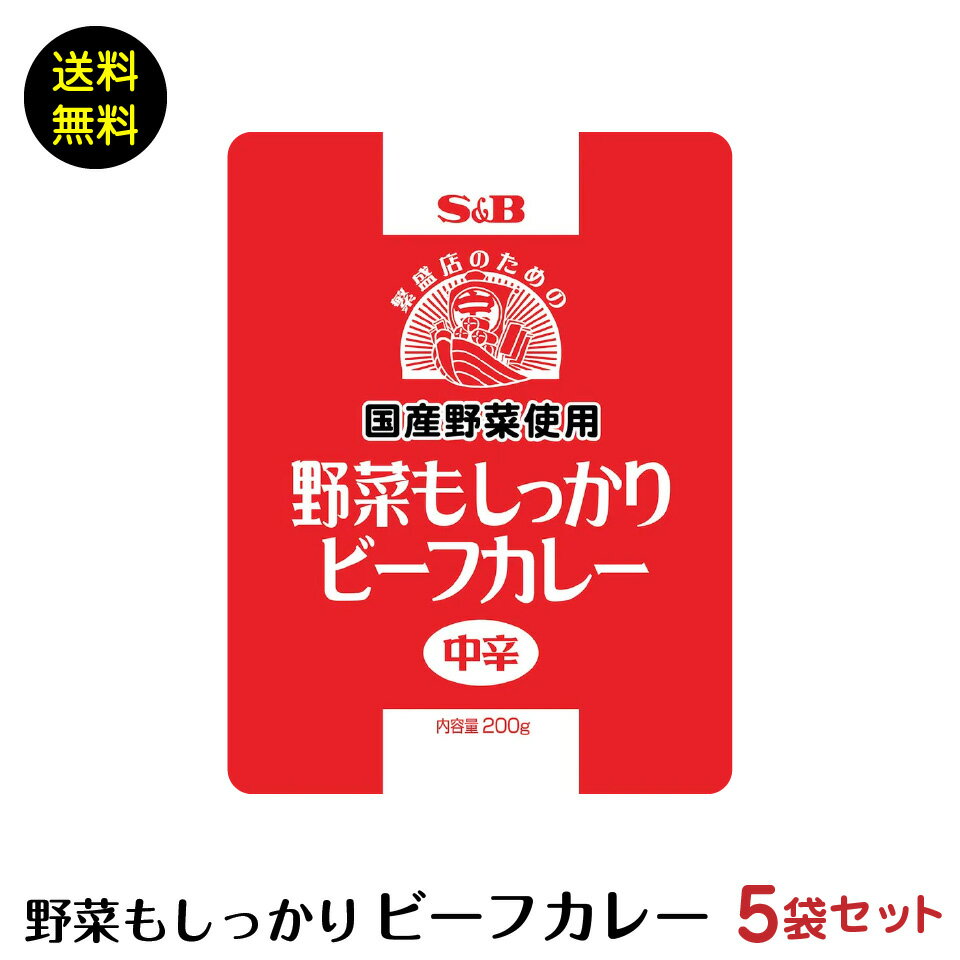 ネコポス 国産野菜使用 野菜もしっかり ビーフカレー 中辛 5袋セット ポスト投函便 送料無料 業務用 SB　1000円のサムネイル