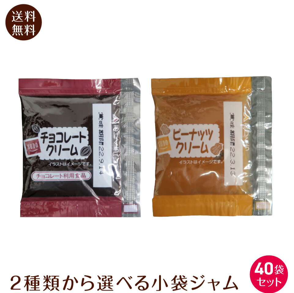 小袋 チョコ ピーナッツ クリーム 40袋 600g 1000円ポッキリ 送料無料 ポスト投函便 パン お菓子