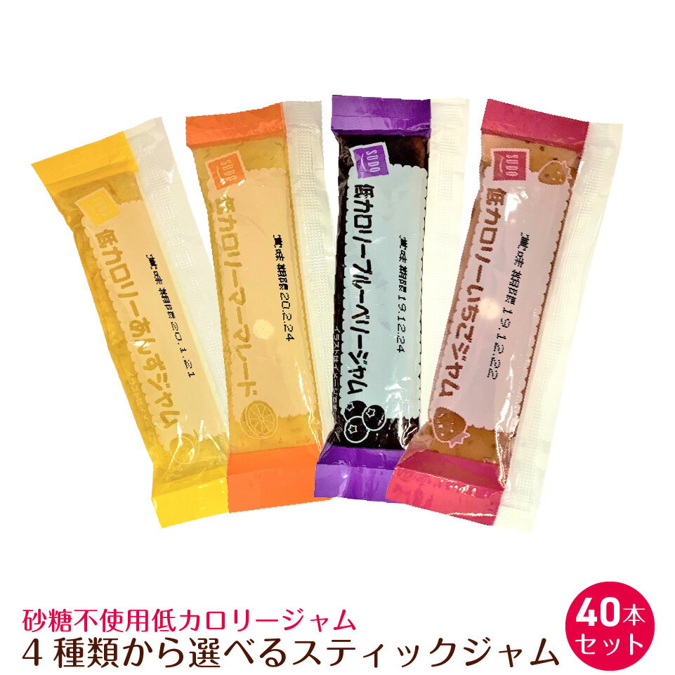 モロズミジャム＜ブルーベリージャム 1kg 袋＞【業務用】ブルーベリーの実がいっぱい入っています！【朝食 昼食 おやつ 菓子作り キャンプ 登山 バザー 文化祭】