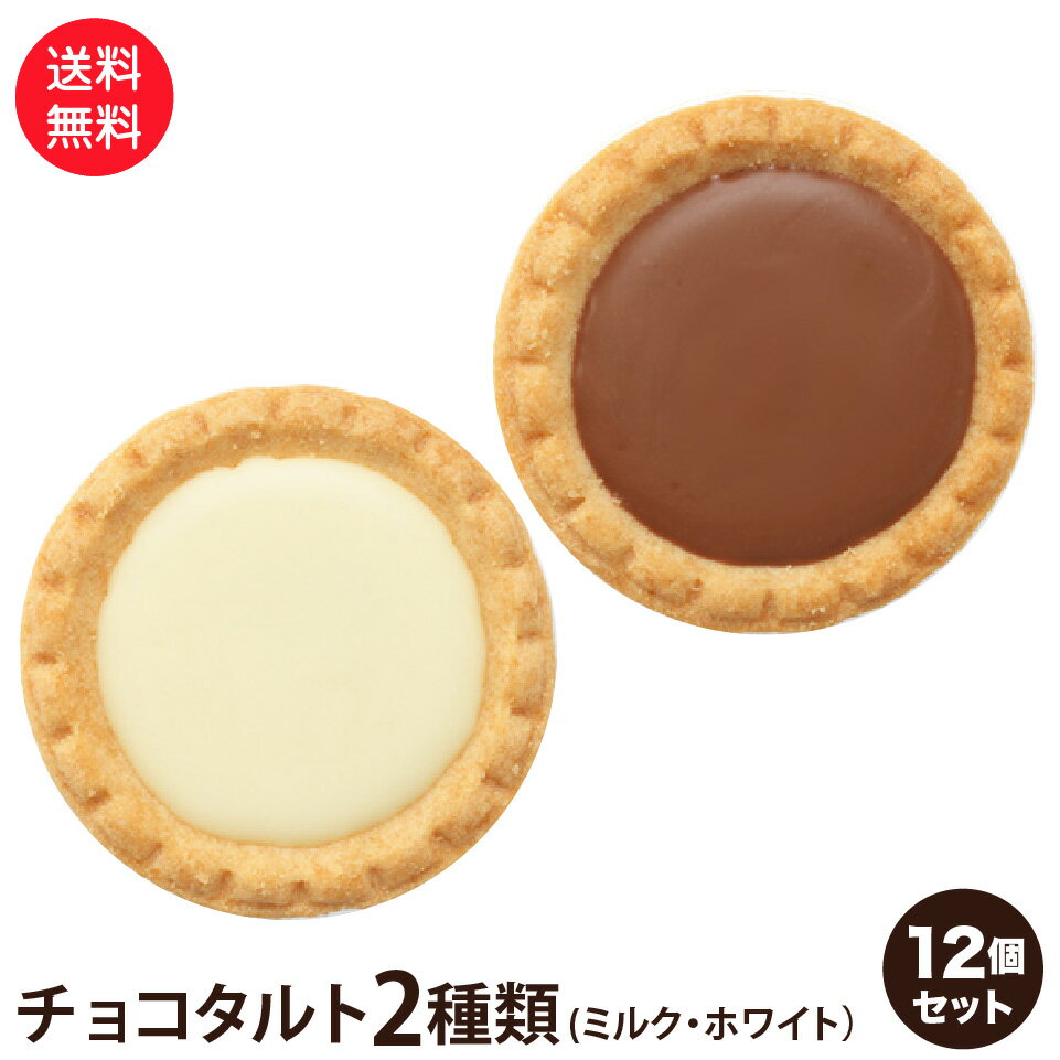 訳あり 老舗洋菓子屋 チョコタルト 2種 12個セット ミルク ホワイト 1000円ポッキリ 送料無料 ポスト投函便 ガトー チョコ タルト