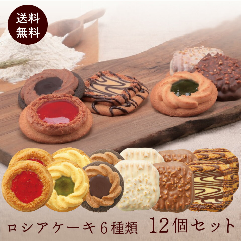 訳あり 焼き菓子 ロシア ケーキ 6種類 12個セット 老舗の人気洋菓子 中山製菓 1000円 税別 送料無料 ポスト投函便 クッキー