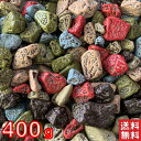 ̳ ξХ祳 ̵ ݥȡ Х祳 祳졼  Х祳400g~2kg