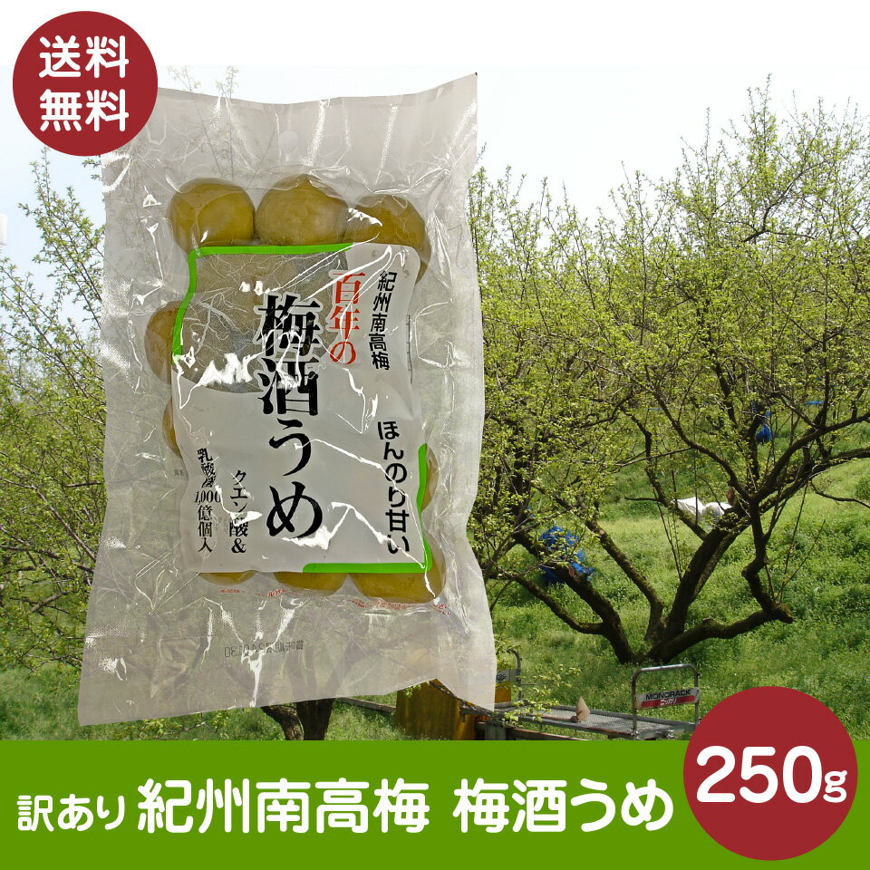 梅酒うめ 250g 紀州南高梅 使用 訳あり 無選別 保存料 着色料 無添加 数量限定 ポスト投函便 送料込み 国産のサムネイル