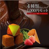 贅沢生チョコ仕立て4種類お試しセット300g