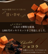贅沢生チョコ仕立て4種類お試しセット300g