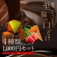 贅沢生チョコ仕立て4種類お試しセット300g