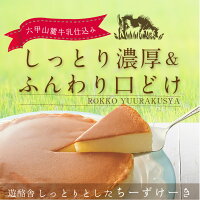 六甲山麓牛乳仕込み遊酪舎しっとりしたちーずけーきチーズケーキ5号約300g