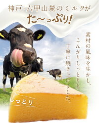 六甲山麓牛乳仕込み遊酪舎しっとりしたちーずけーきチーズケーキ5号約300g