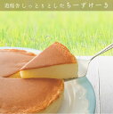 六甲山麓牛乳仕込み 遊酪舎しっとりしたちーずけーき チーズケーキ 5号 約300g