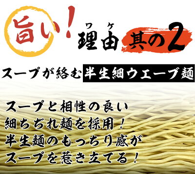 プラムテラス 創味 北の味噌ラーメン 2食セット 京都の人気調味料屋が作るプロが認めた業務用スープ使用 ポスト投函便 送料無料 画像3