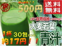 【 送料無料 】 訳あり 大麦若葉 青汁 分包タイプ3g×30袋入り 500円 ポッキリ 送料無料 1杯約17円 DM便 ポイント 消化