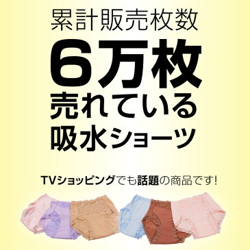 失禁パンツ 女性用 【失禁ショーツ 女性用 スマートランジェリー ショーツ】テイジン おしゃれ 尿漏れ 尿漏れパンツ 失禁ショーツ レディース 女性用 サニタリー 女性 大きいサイズ 軽失禁 中失禁 失禁 尿モレ 尿もれ 産後 下着 QVC 母の日 敬老の日