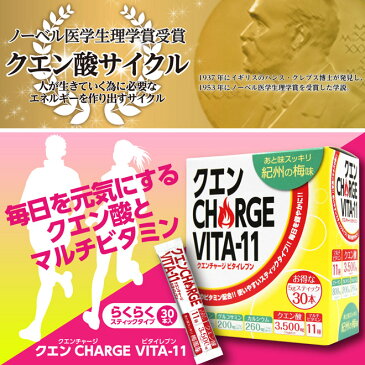 クエン酸 食用 国産 クエン酸 サプリ 粉末 食用 国産 サプリ ビタミン サプリ 食品 紀州 梅 梅味 ビタミン剤 熱中症 対策 クエンチャージビタイレブン