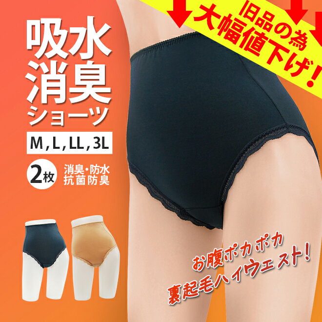 最終値下げ SALE 2枚組　裏起毛 吸水ショーツ 失禁ショーツ 女性用 　スタイルセレブリティ 吸水ショーツ　あったか起毛タイプ レース 軽失禁 失禁パンツ 尿もれ ハイウエスト 尿漏れパンツ　/ M L LL 3L 中失禁 無地