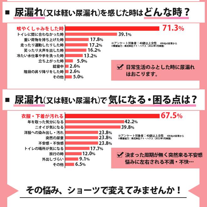 楽天ランキング入賞！　2色組　失禁ショーツ レディース 吸水 消臭 無地 抗菌防臭 女性用 吸水ショーツ 失禁ショーツ 吸水パンツ 失禁パンツ 消臭パンツ 尿漏れパンツ 尿もれ 母の日 東洋紡 TOYOBO QVC / M L LL 3L 4L 5L 中失禁 辻一株式会社 3