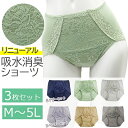 ポイント5倍 【3色組】失禁ショーツ レディース 吸水 消臭 ショーツ 抗菌防臭 女性用 吸水ショーツ 母の日 敬老 失禁ショーツ 消臭ショーツ 吸水パンツ 失...