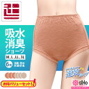 50%OFF 最終値下げ 2枚組×3セット 6枚 2色組 母の日 吸水ショーツ 女性用 レース 無地 スタイルセレブリティ 吸水消臭ショーツ 東洋紡..