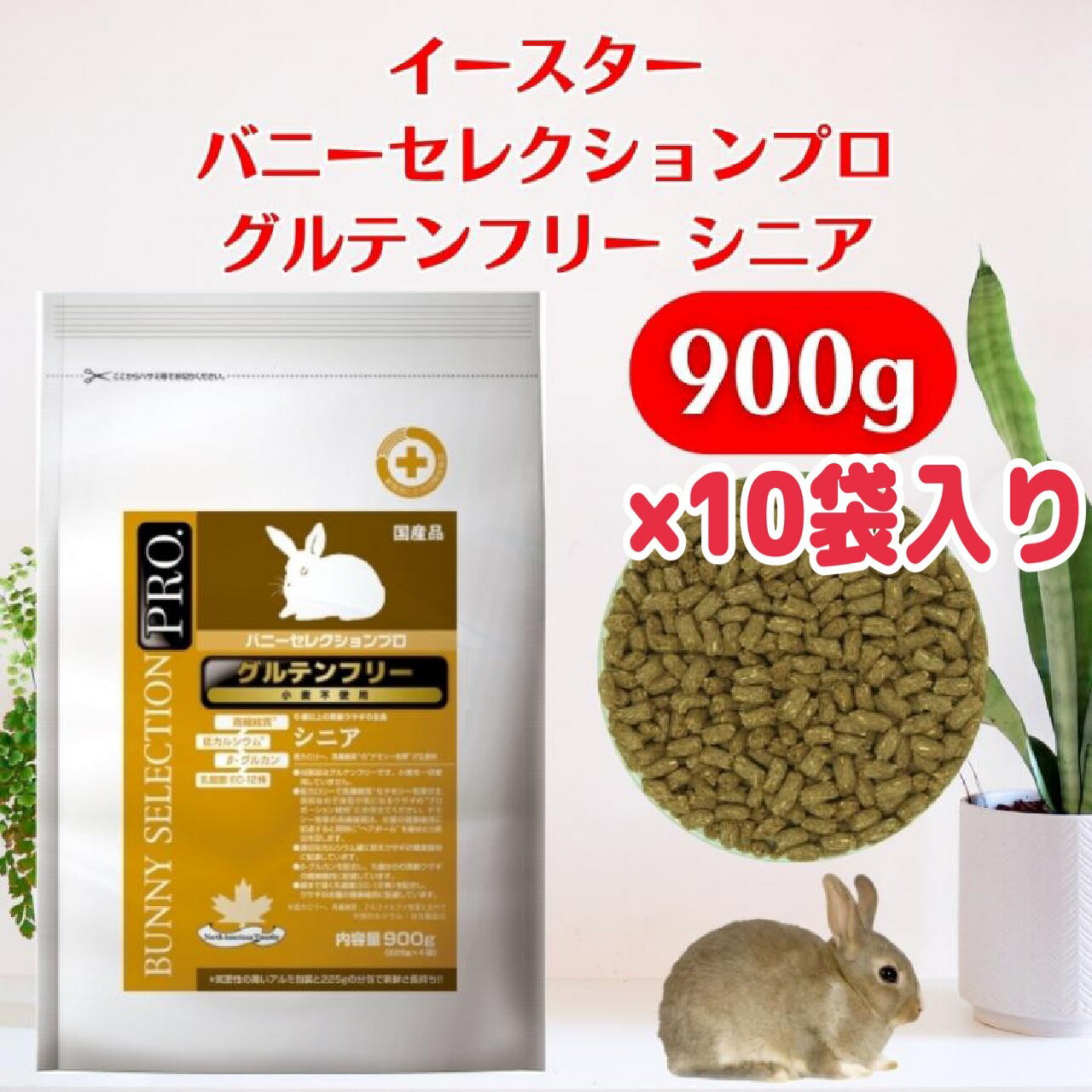 ������ �¡ڡ����˥� 10�ޡ�900g10�����ꥰ��ƥ�ե꡼ �Хˡ����쥯�����ץ� ���⥷�� ��̣����2026ǯ6���� ������ �� �ڥå� ���� ���� �ա�...