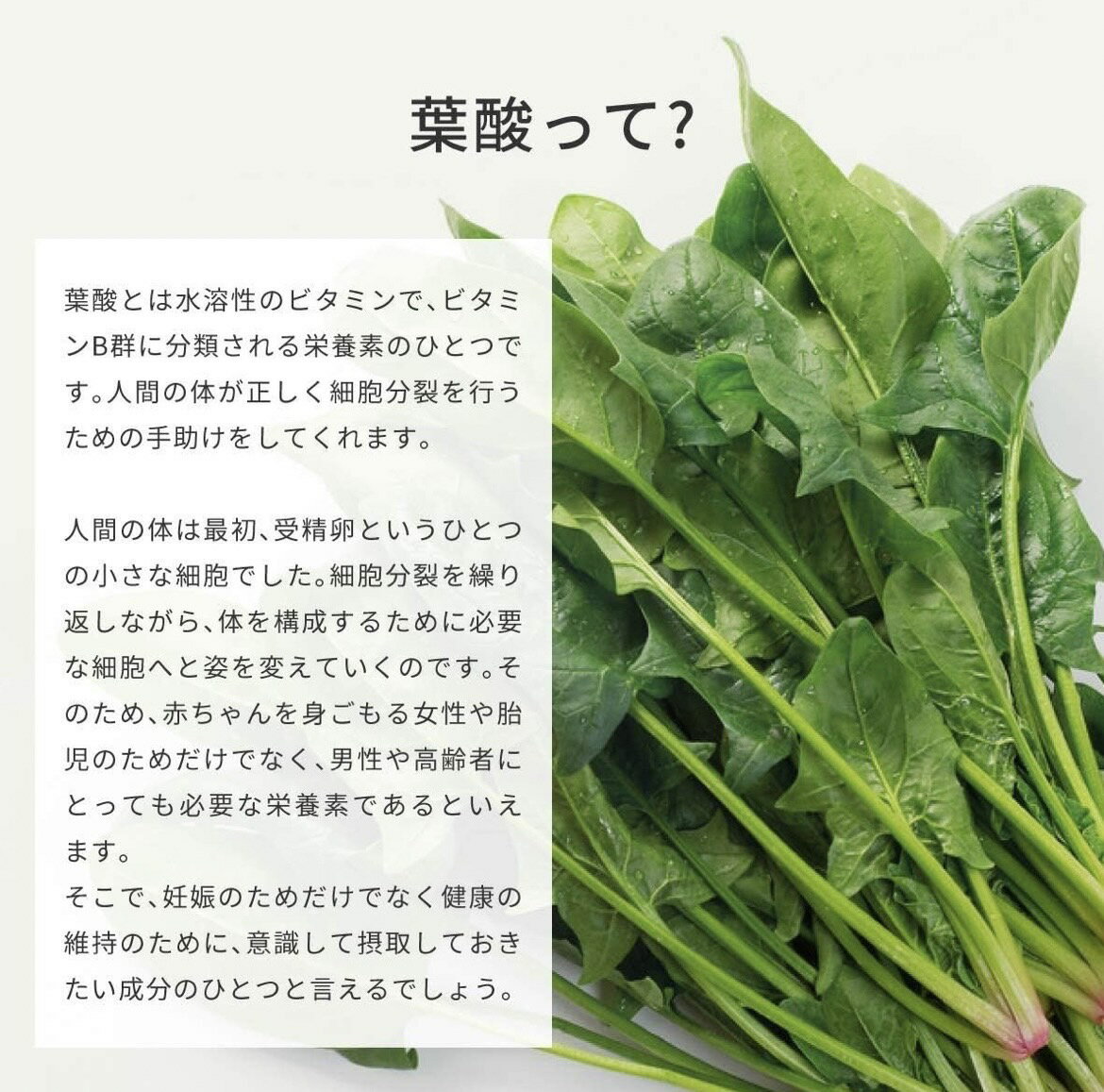 葉酸 サプリ mitete 【葉酸1】30日分 賞味期限 2026年3月 ミテテ AFC 葉酸サプリメ...