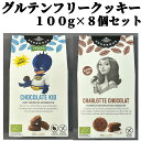 【グルテンフリークッキー】選べる2種類 有機 グルテンフリー チョコレート チョコ ショコラ ヴィーガン 子供用 お子様 おやつ クッキー 洋菓子 焼き菓子 砂...