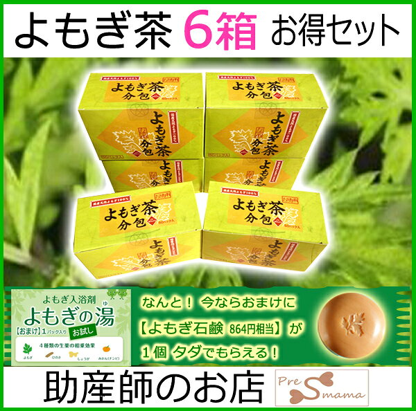 助産師のお店 ぷれままサロン佐伯の国産よもぎ茶50パック 6個セット 送料無料 メール便 日本製 無農薬 特価 健康茶 美味しい おいしい 国産 よもぎ茶 身体に優しいお茶 妊婦 妊娠お祝い 出産祝い 低刺激 無着色赤ちゃん 妊婦 介護 老人 よもぎ茶 無農薬よもぎジェル ギフト 常備茶｜アングル2