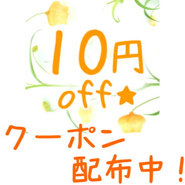 トコちゃんベルト 2 LLサイズ 完璧セット 【おなかまきM トコちゃんベルト腹巻】おまけ付 青葉正規品 とこちゃんベルト2_l ll 腰痛ベルト 下着 レディースセット マタニティ 骨盤ベルト 腰痛 骨盤矯正 ベルト 妊婦 妊娠お祝い 出産祝い