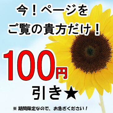 【300円クーポン有】トコちゃんベルト 2 （L)【白色限定】 100円引き き 助産師★電話訪問あり/腰痛 出産祝い 妊娠　 産後の体型戻し ダイエット 送料無料（ あす楽）骨盤（とこちゃんベルト 2 l ll）青葉正規品 産前産後 【10倍】