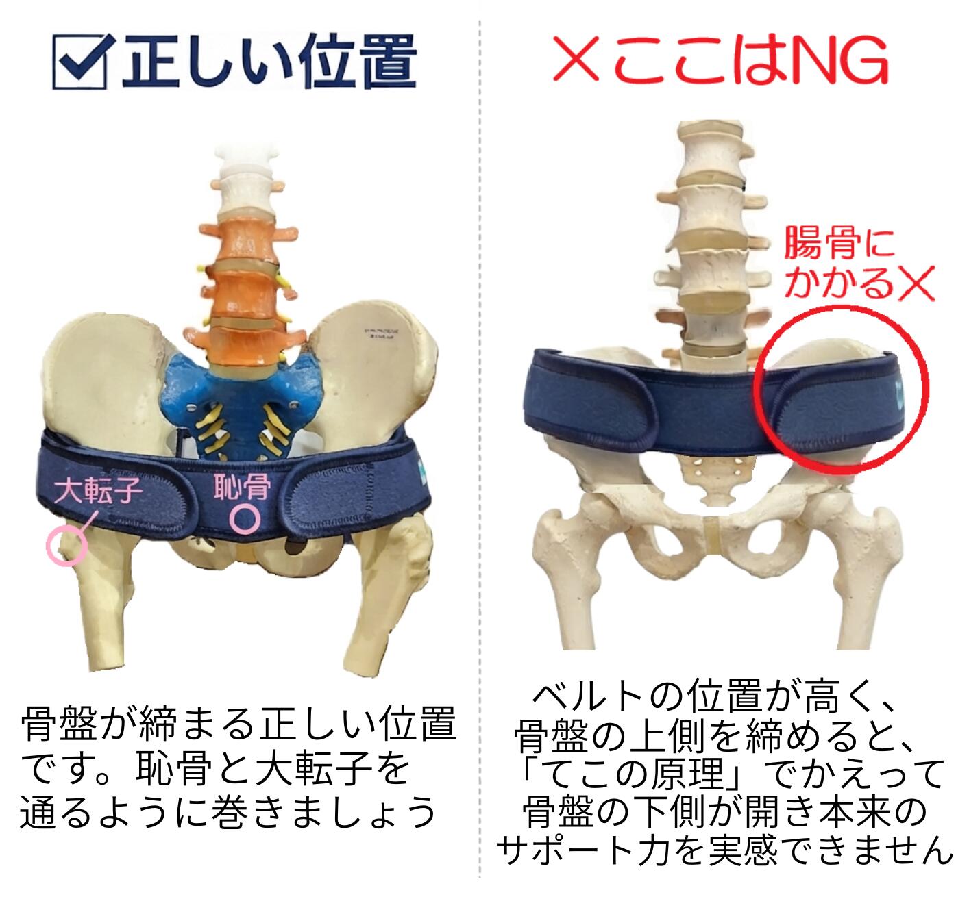 正規品 トコちゃんベルト2 S 【白色】ふわっと腹巻 薄手オーガニック(2枚入）セッ...