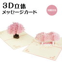 メッセージ カード 3D 立体 カード メッセージカード 桜 グリーティングカード バースデーカード メッセージ 誕生日カード レターセット カード 封筒付き ...