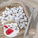 ネイルアート グラデーション スポンジセット ステンレス製 ツイーザー キャッチャー マニキュア ペディキュア ネイル PR-NAIL24TSSET【メール便 ...