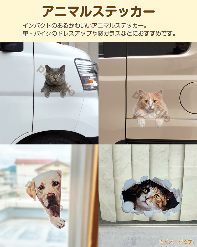 ステッカー かわいい リアル シール 両面印刷 柴犬 穴から飛び出る犬 アニマル ウォールステッカー インテリアシール ガラス 装飾 シール auc-prendre-10017881 プランドル楽天市場店 サンプル画像2