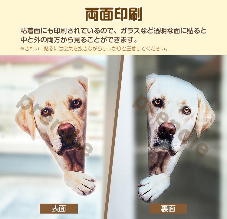 ステッカー かわいい リアル シール 両面印刷 柴犬 穴から飛び出る犬 アニマル ウォールステッカー インテリアシール ガラス 装飾 シール auc-prendre-10017881 プランドル楽天市場店 サンプル画像3