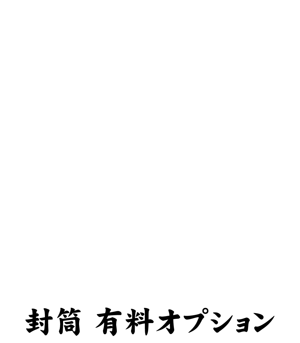封筒印刷有料オプション（特色・ロ