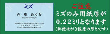 【エントリーでポイント10倍（12月1日10：00から2019年1月1日9：59迄）】名刺印刷 和紙名刺 100枚【名刺 印刷 名刺 作成】