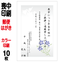 喪中はがき 印刷 郵便はがき 官製はがき カラー印刷 10枚 喪中 印刷(胡蝶蘭切手込) 喪中ハガキ 喪中葉書 喪中印刷 喪中はがき印刷 喪中ハガキ印刷 喪中葉書印刷