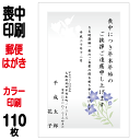 喪中はがき 印刷 郵便はがき 官製はがき カラー印刷 110枚 喪中 印刷(胡蝶蘭切手込) 喪中ハガキ 喪中葉書 喪中印刷 喪中はがき印刷 喪中ハガキ印刷 喪中葉書印刷