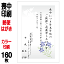 喪中はがき 印刷 郵便はがき 官製はがき カラー印刷 160枚 喪中 印刷(胡蝶蘭切手込) 喪中ハガキ 喪中葉書 喪中印刷 喪中はがき印刷 喪中ハガキ印刷 喪中葉書印刷