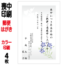 喪中はがき 印刷 郵便はがき 官製は