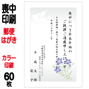 喪中はがき 印刷 郵便はがき 官製はがき カラー印刷 60枚 喪中 印刷(85円はがきに印刷) 喪中ハガキ 喪中葉書 喪中印刷 喪中はがき印刷 喪中ハガキ印刷 ...