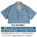 auc-pronostore:10002555のサンプル画像2