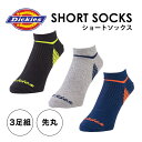 「Dickies（ディッキーズ）」 ショー