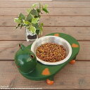蛙1P 餌入れ フードボール キャットフード トレー カエル エサ入れ 水入れ ペット 猫 ネコ 猫用 犬 犬用 えさ皿 ペット用食器 猫用食器 犬用食器 小物入れ 鍵入れ アクセサリー入れ アニマル雑貨 インドネシア バリ雑貨 スーパーセール