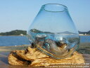 選べる 流木ガラスオブジェ KM12 花瓶 アクアリウム テラリウム フラワーポット 金魚鉢 メダカ水槽 バリ島 アジアン雑貨 ポプリ入れ 容器 器 リサイクル...