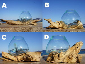 メダカや金魚などのおしゃれな水槽 玄関やリビング向けのインテリア水槽のおすすめランキング わたしと 暮らし