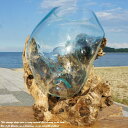 選べる 流木ガラス オブジェ 超特大 めっちゃ大きい XLサイズ 花瓶 アクアリウム テラリウム ビバリウム 苔リウム パルダリウム フラワーポット 金魚鉢 メ...