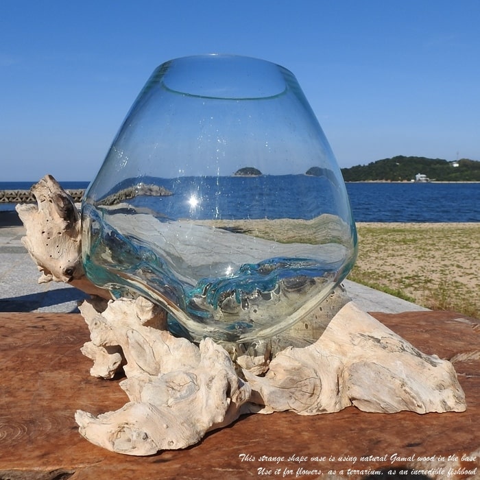 楽天市場】流木 ガラス 器の通販 楽天市場】流木 ガラス 器の通販