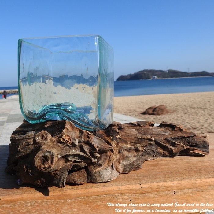 選べる 流木ガラスオブジェ SQ12 花瓶 アクアリウム テラリウム フラワーポット 金魚鉢 メダカ水槽 バ..